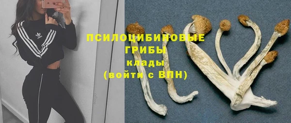 PSILOCYBIN Саяногорск